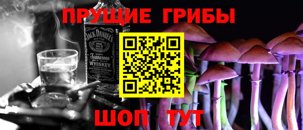 где купить наркоту  Псилоцибиновые грибы MAGIC MUSHROOMS  Вход с VPN  Коркино 